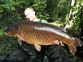 James Green, 31st Jul<br />1. PB 38lbs 13oz common